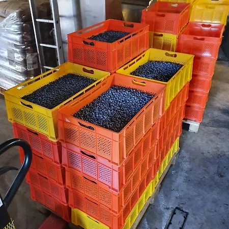 Apartment Sinnvoll - Ferienwohnung1