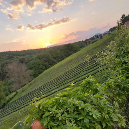 Sinnvoll - Ferienwohnung1 Sankt Anna am Aigen