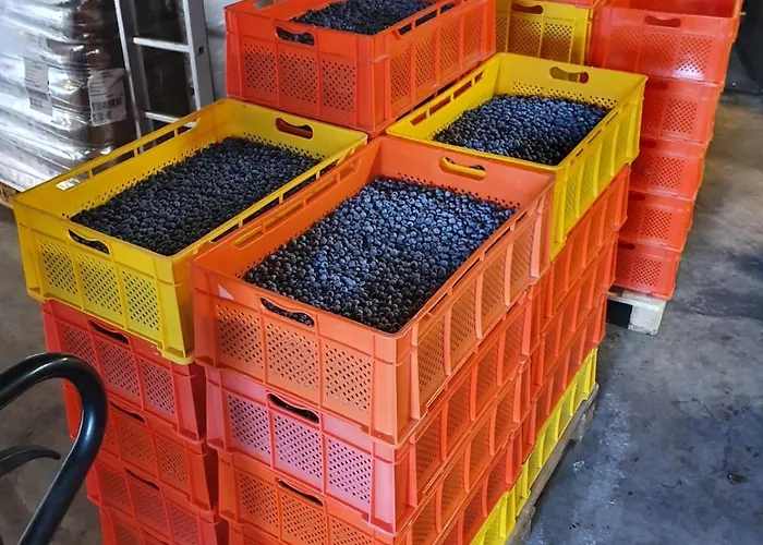 公寓 Sinnvoll - Ferienwohnung1