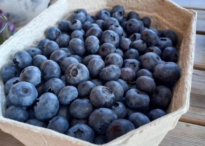 Sinnvoll - Ferienwohnung1 * Sankt Anna am Aigen