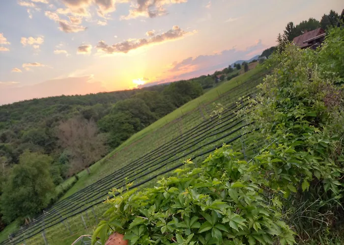 Sinnvoll - Ferienwohnung1 Sankt Anna am Aigen